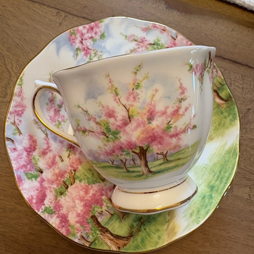 Royal Albert Blossom Mug and Saucer - Pink and Green